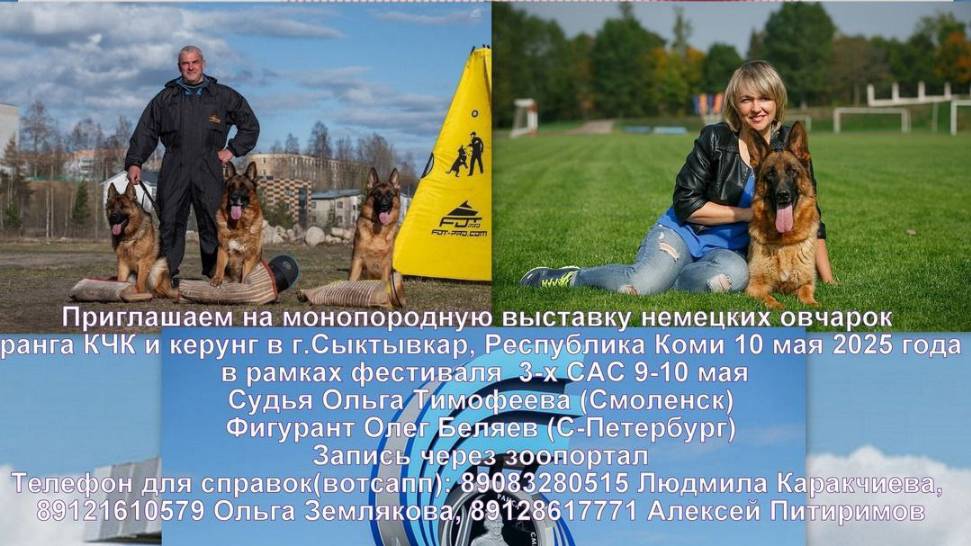 КЧК СЫКТЫВКАР 10 мая`25 О.Тимофеева Моно немецких овчарок
