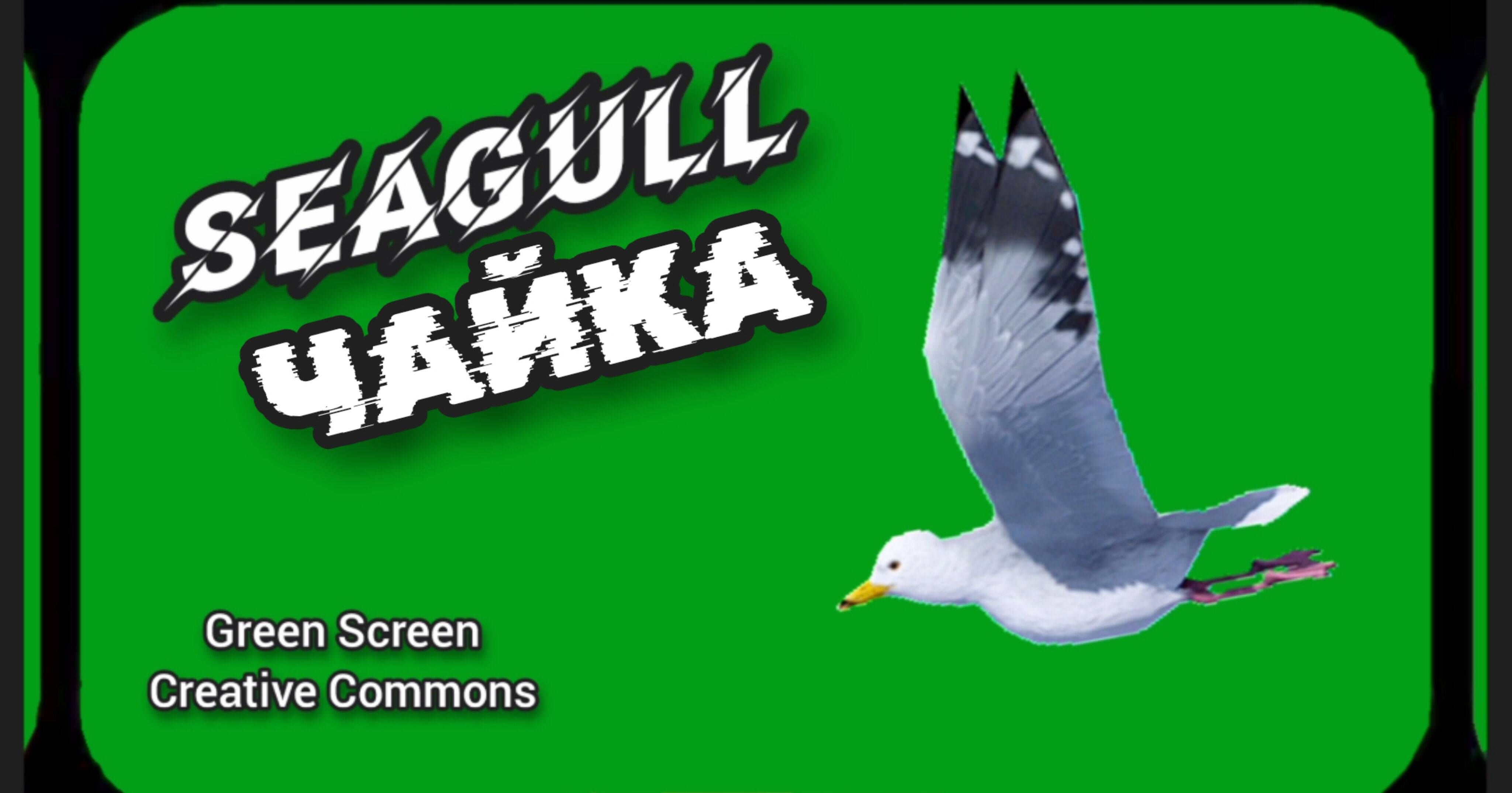 ПТИЦЫ ВИДЕО GREEN SCREEN. ФУТАЖ АНИМАЦИЯ НА ЗЕЛЁНОМ ФОНЕ.