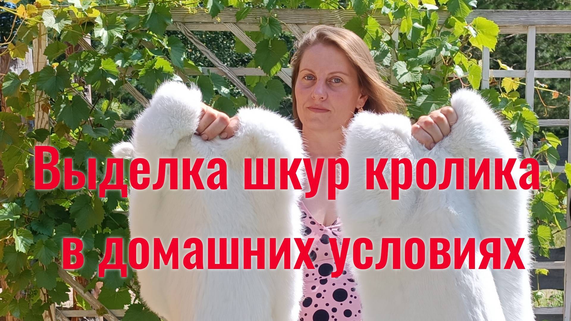 Выделка шкур кролика. Поэтапная инструкция.