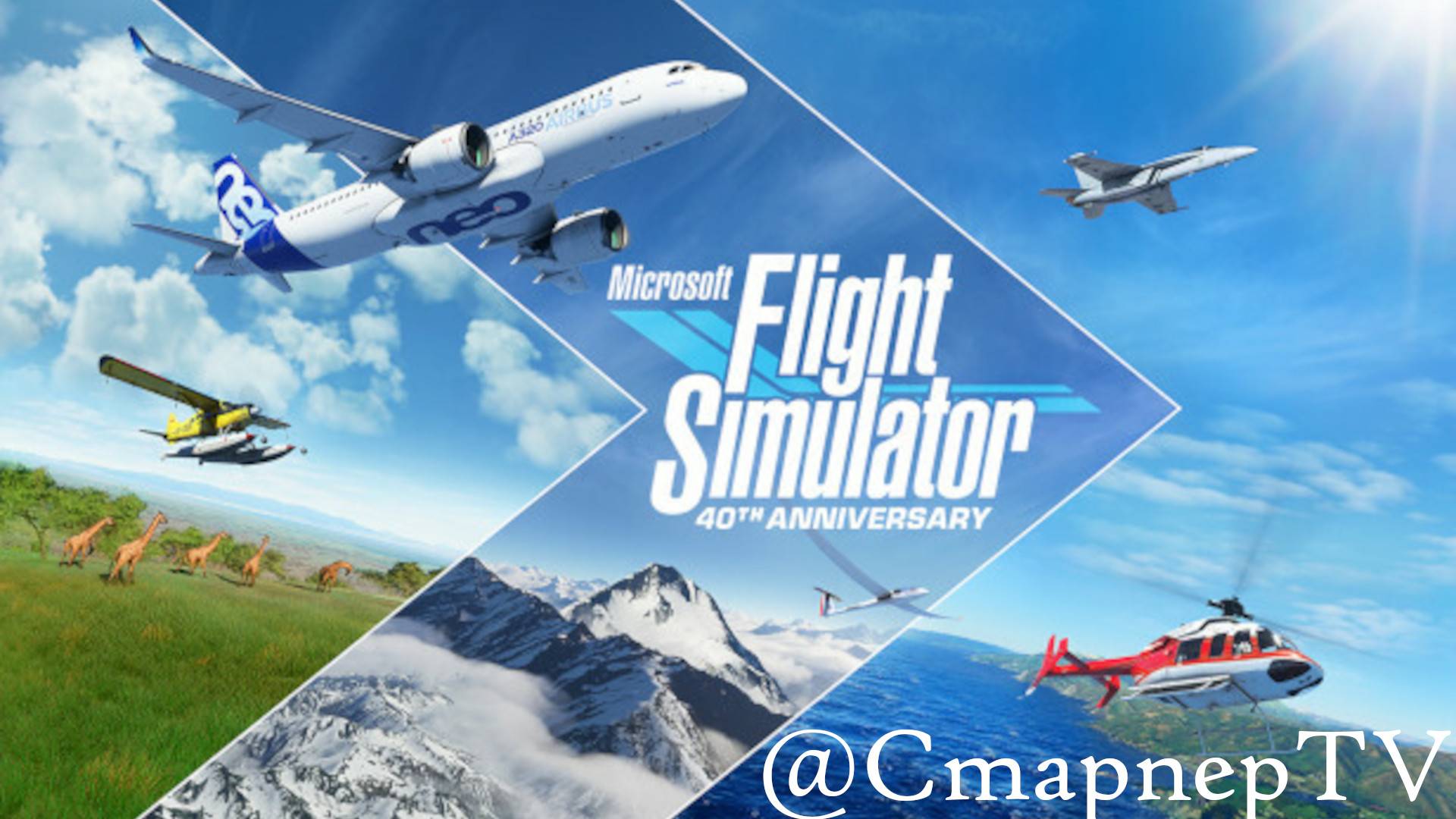 Microsoft Flight Simulator