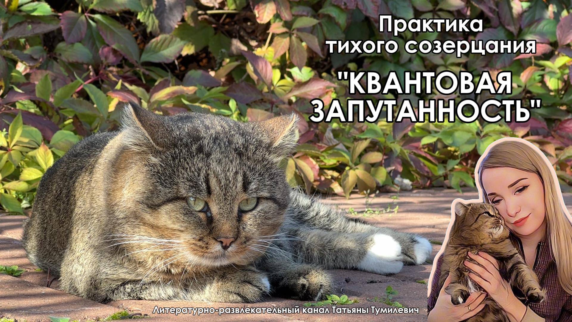 Медитативные сказки