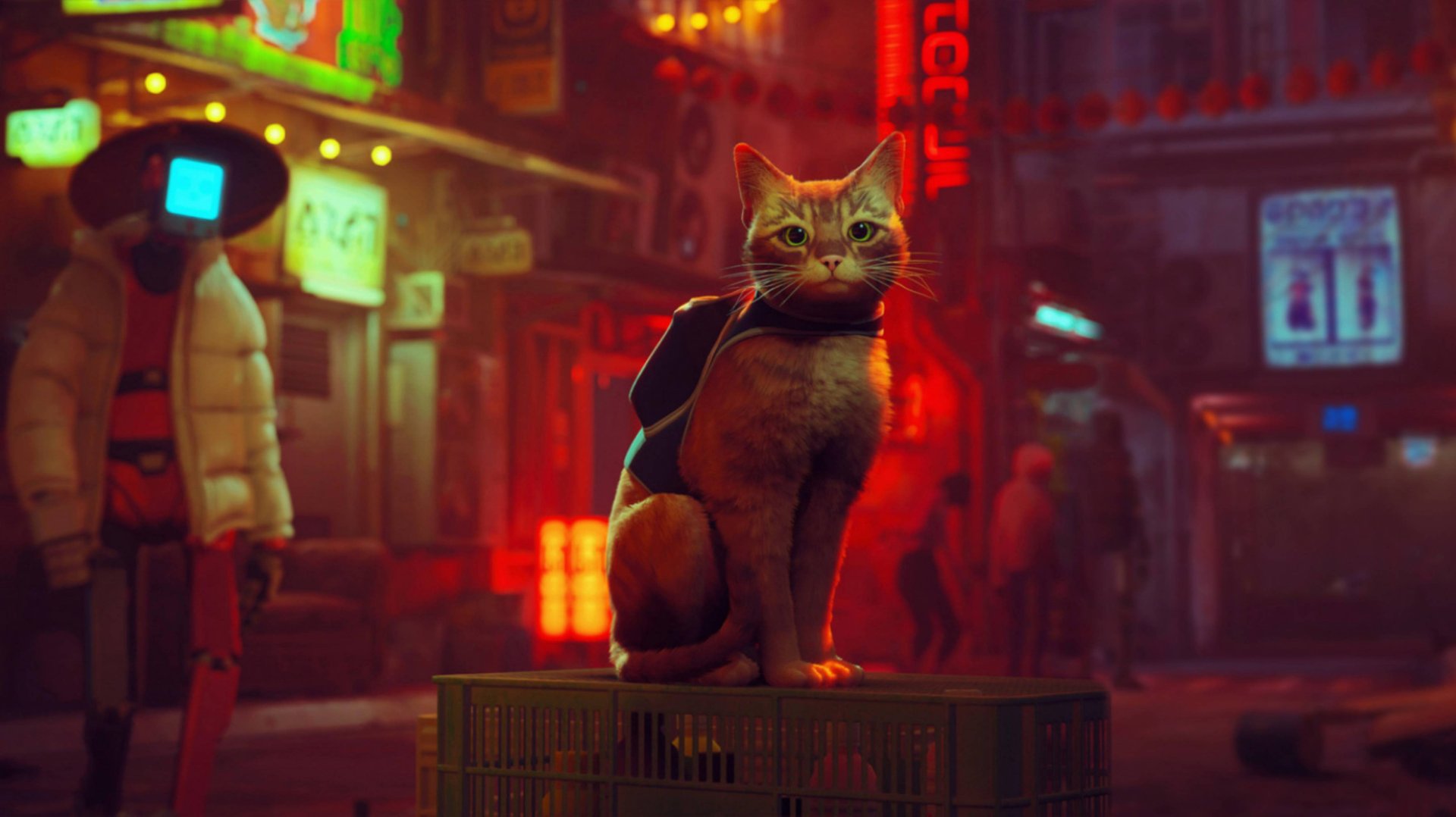 STRAY