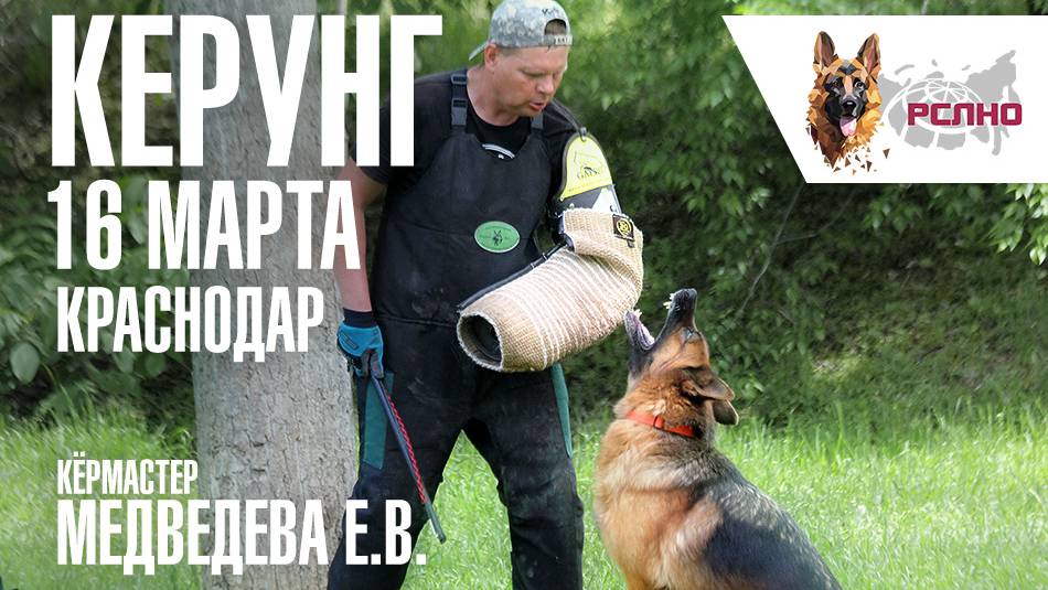 Кёрунг КРАСНОДАР сб 16 мар`24 (Е.Медведева) 7 собак