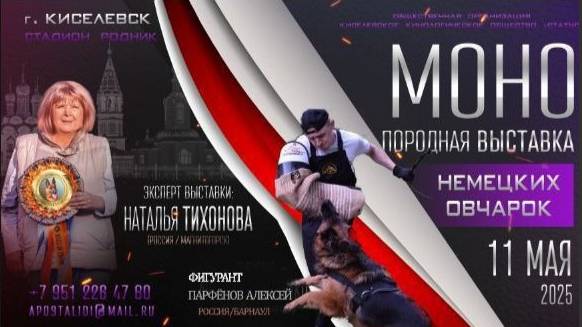 КЧК КИСЕЛЕВСК 11 мая`25 Н.Тихонова Моно немецких овчарок