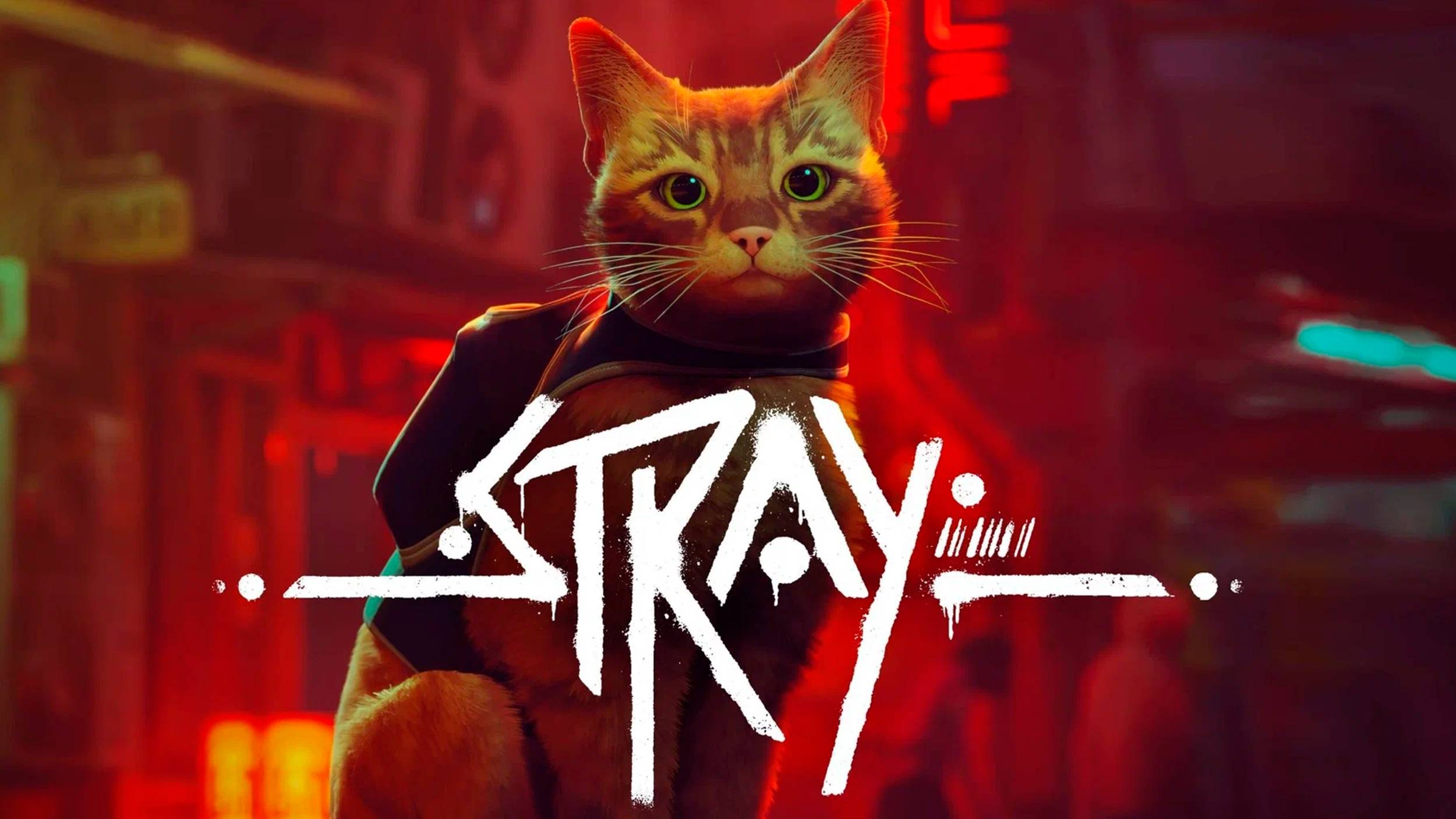 Stray (2022)