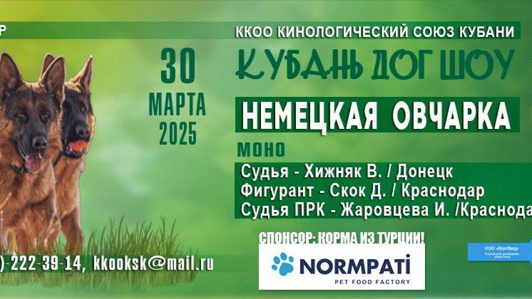 КЧК КРАСНОДАР 30 марта`25 В.Хижняк Моно немецких овчарок