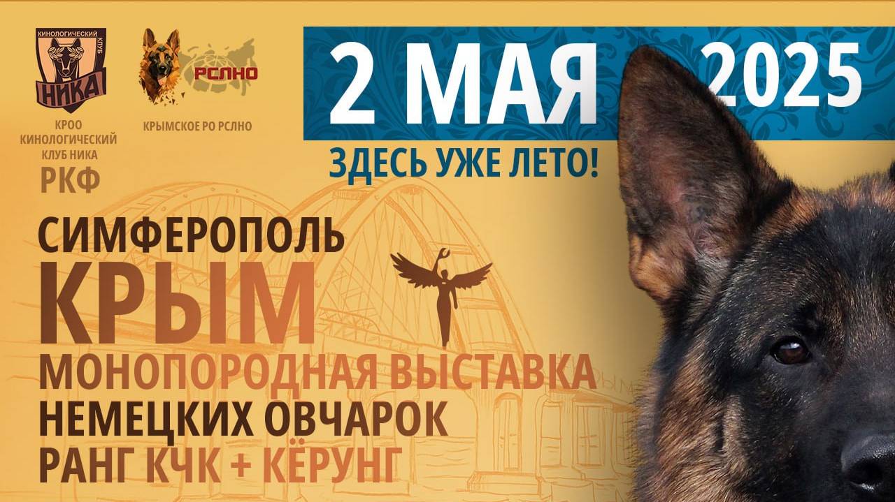 КЧК СИМФЕРОПОЛЬ 2 мая`25 А.Буйнова Моно немецких овчарок