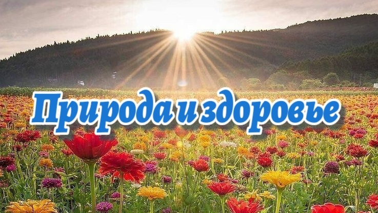 ПРИРОДА дарит ЗДОРОВЬЕ!