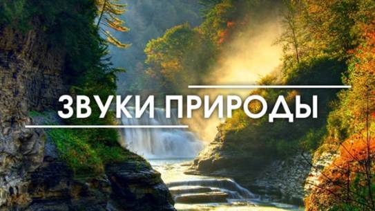 Звуки природы