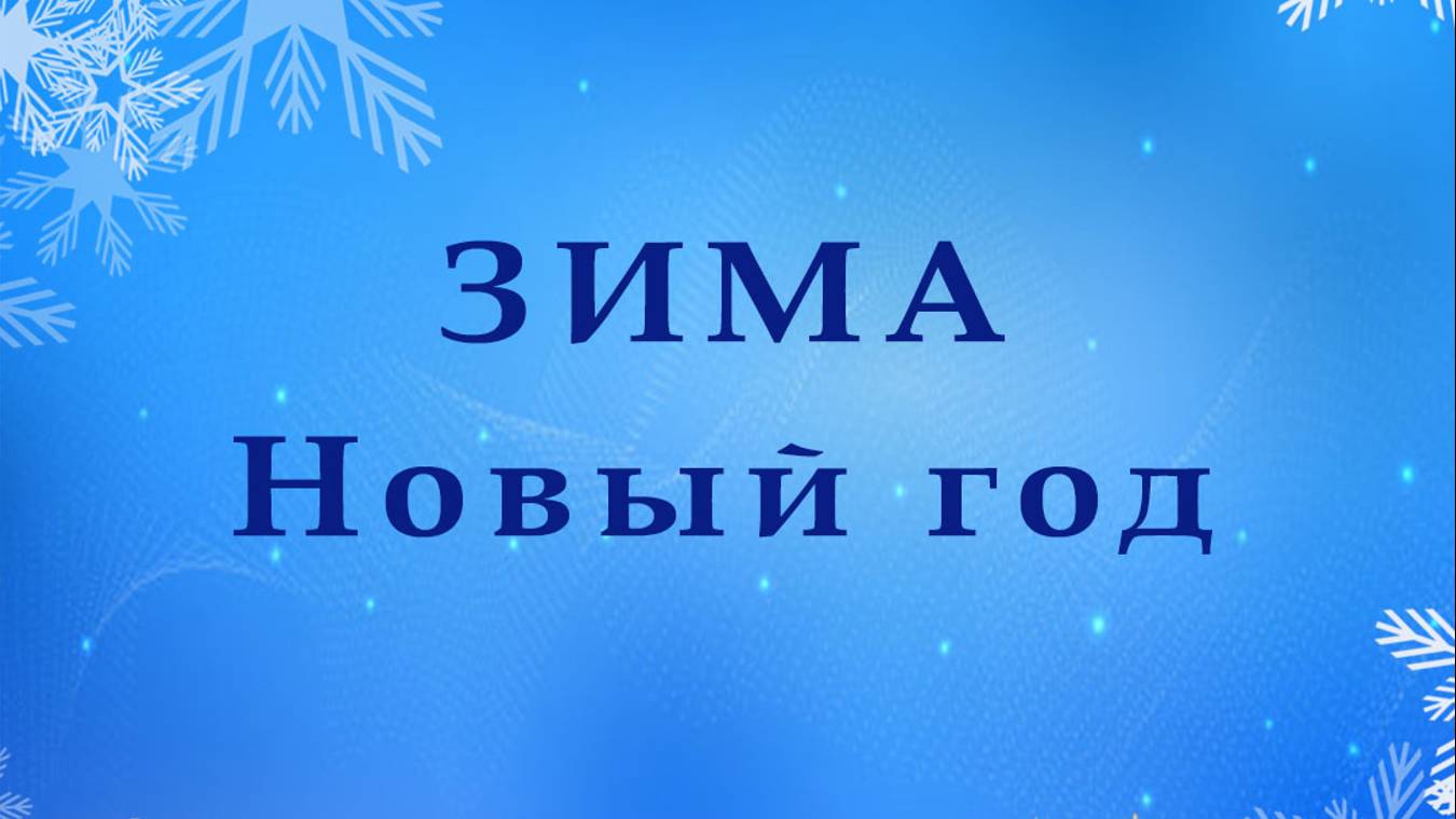 ЗИМА