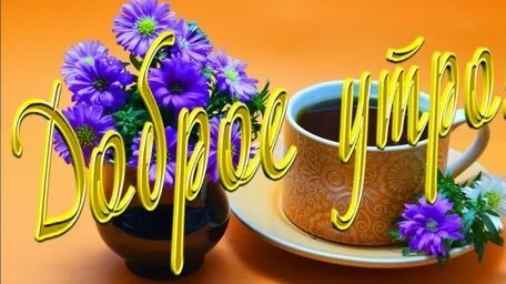 Утро,день,ночь.