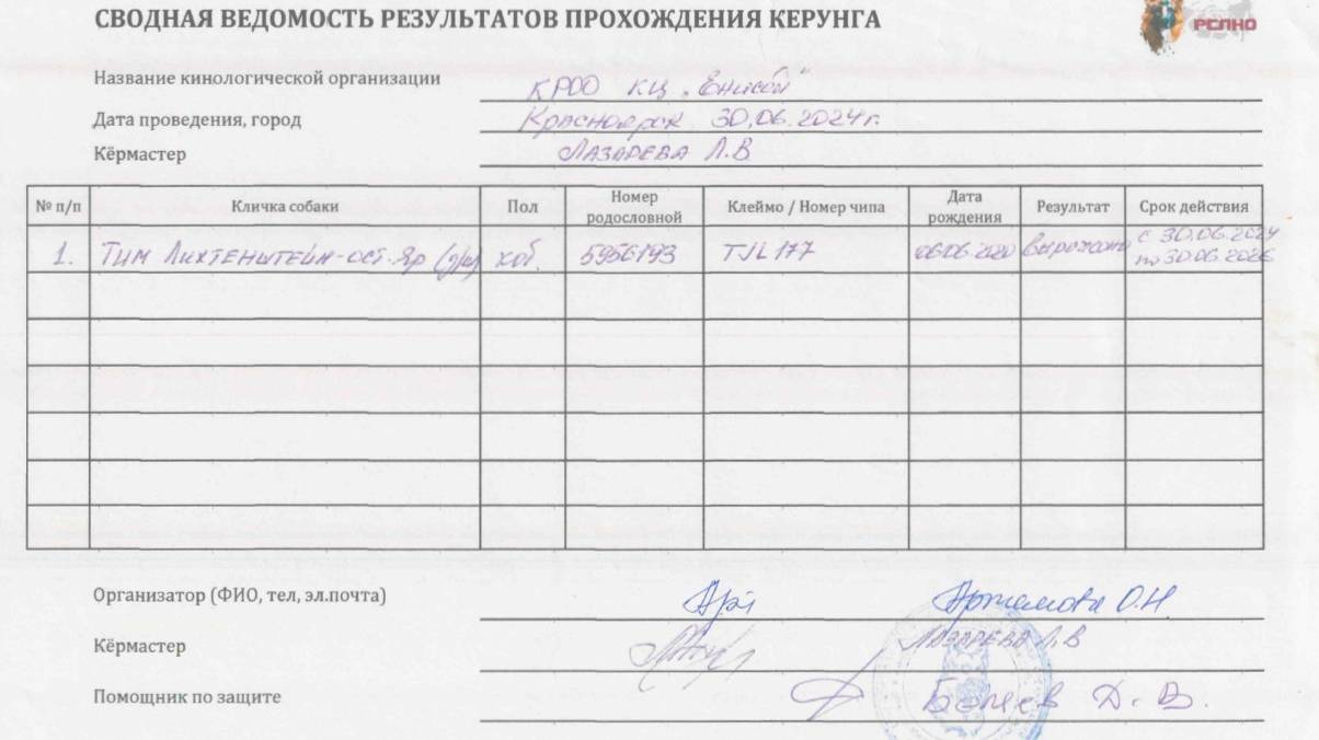 Кёрунг КРАСНОЯРСК вс 30 июн`24 (Лазарева) 1 собака