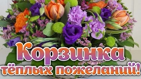 Пожелания