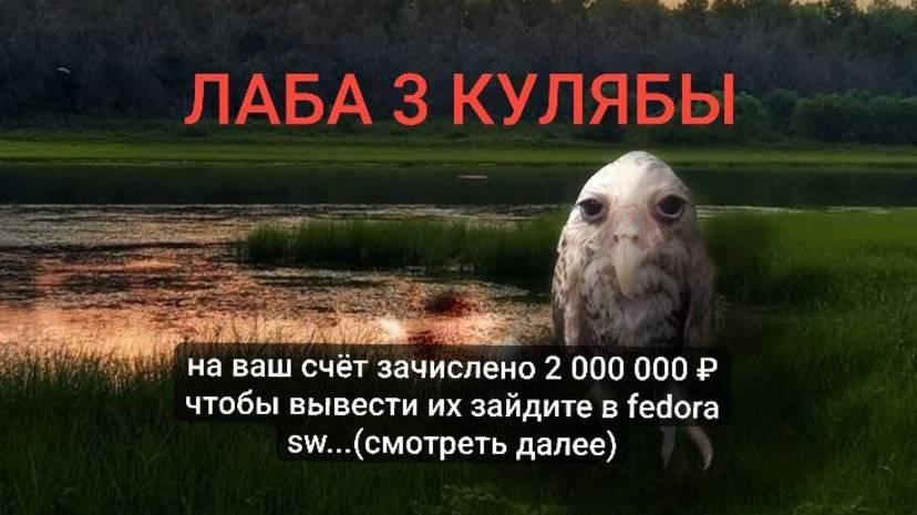 Лаба 3 операционные системы