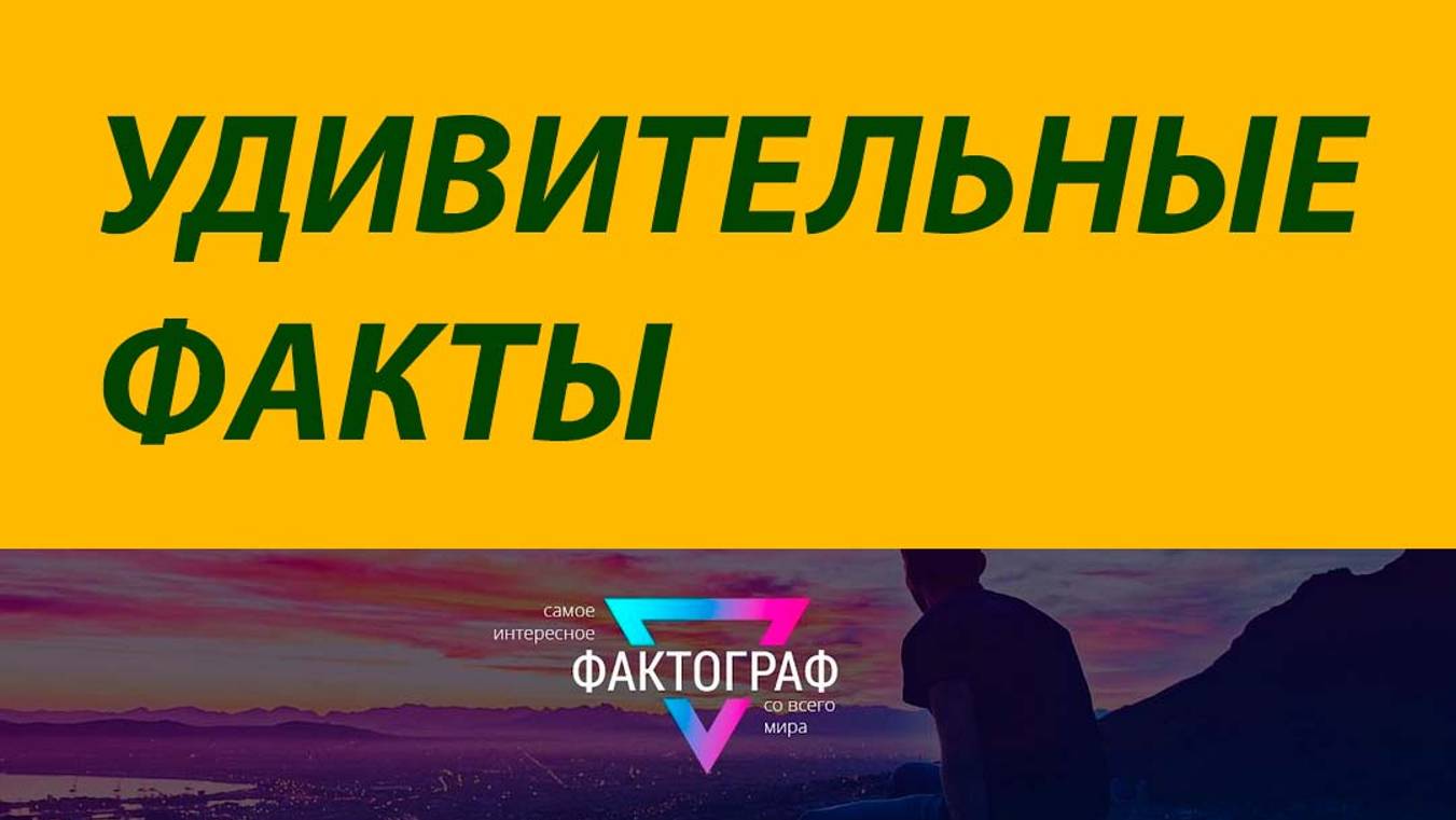 Удивительные факты.