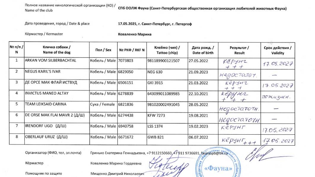 Кёрунг САНКТ-ПЕТЕРБУРГ 17 мая`25 (Г.Гринько) 8 собак