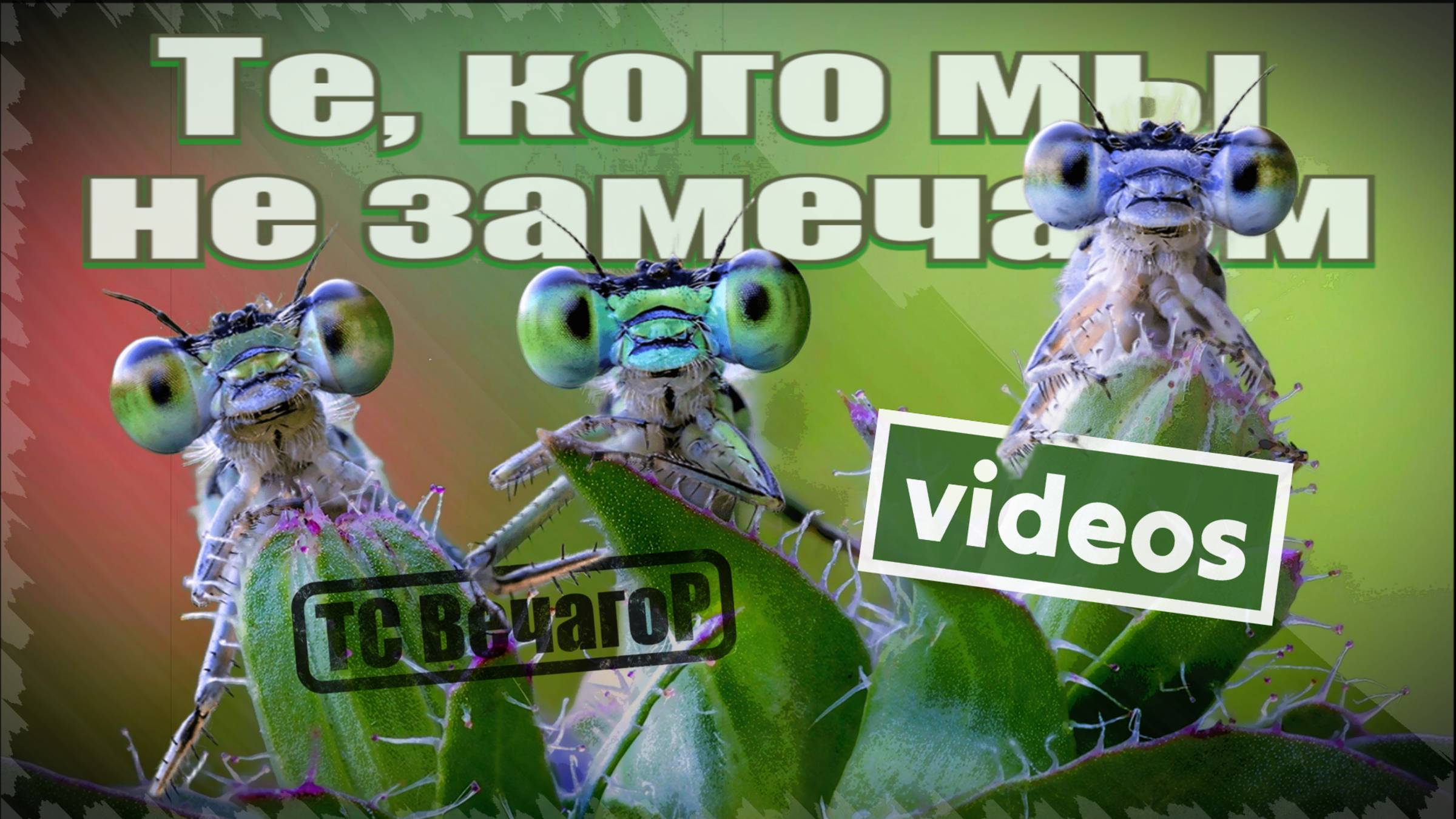 Те, кого мы не замечаем (МАКРО МИР)