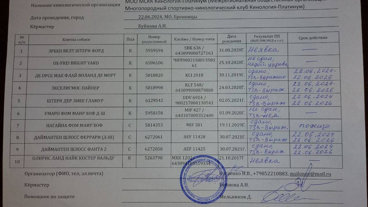Кёрунг МОСКВА сб 22 июн`24 (А.Буйнова) 10 собак