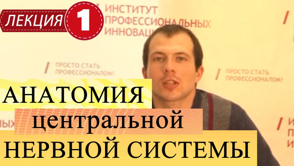 Анатомия центральной нервной системы.