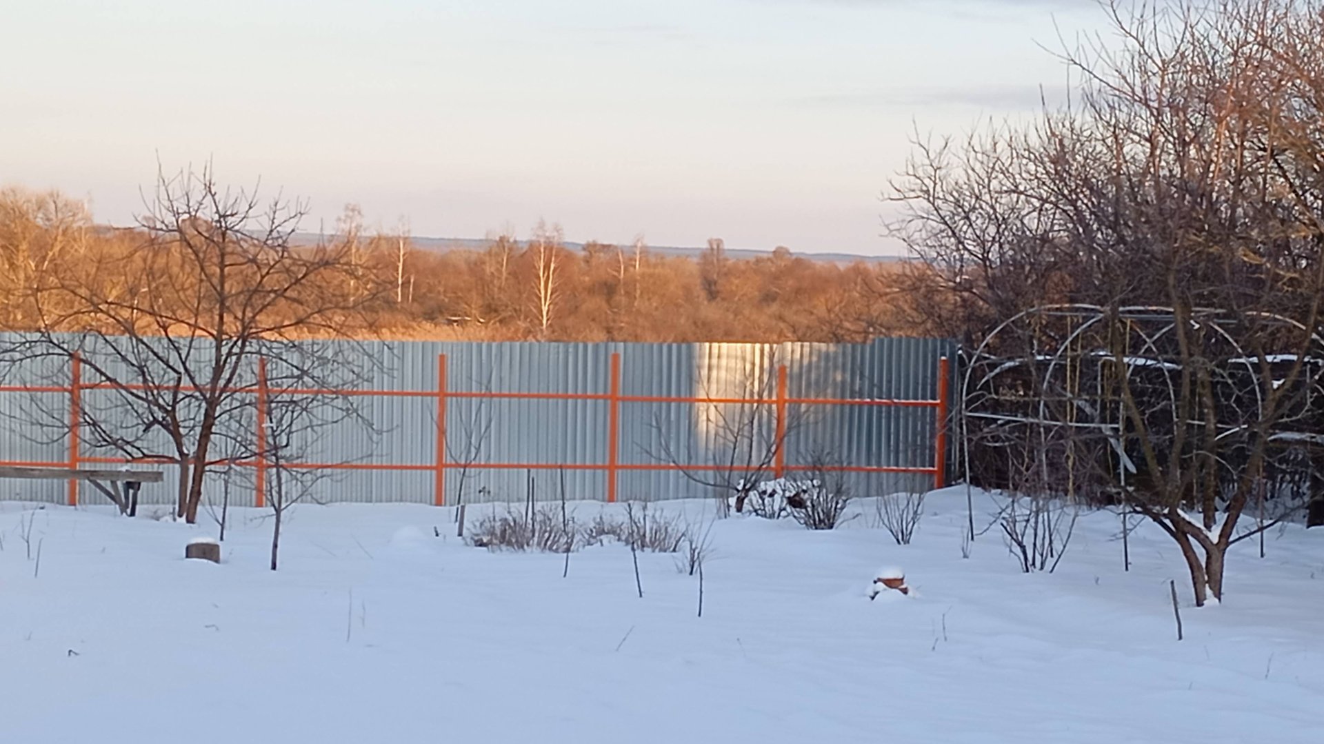 Сад, огород.