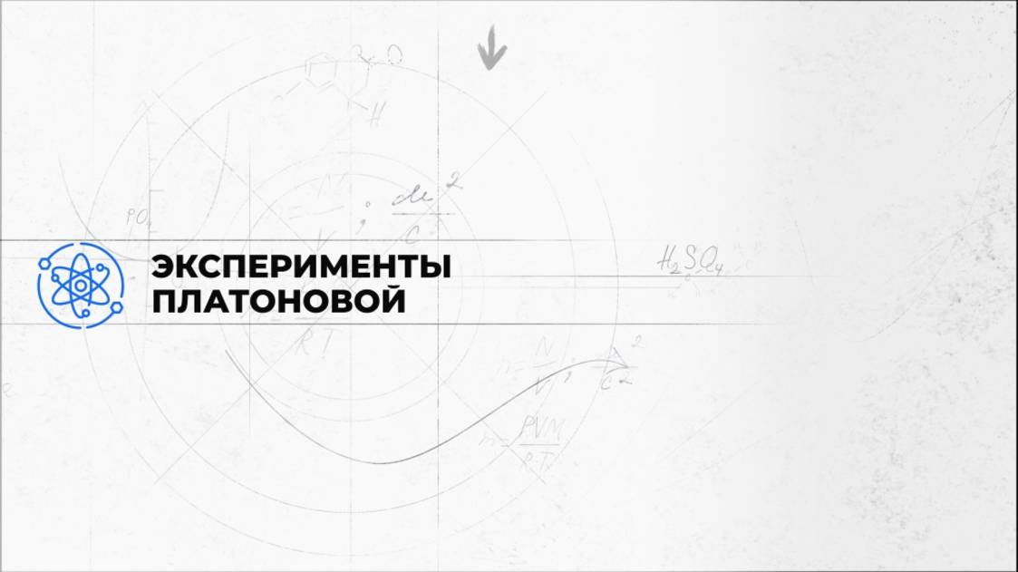 Эксперименты Платоновой