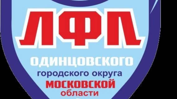 Зимний кубок 8х8 Одинцовского городского округа 2024/25 г.