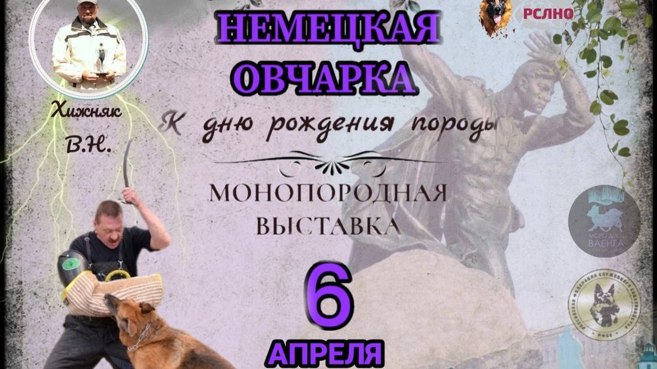 КЧК МУРМАНСК 6 апреля`25 В.Хижняк Моно немецких овчарок
