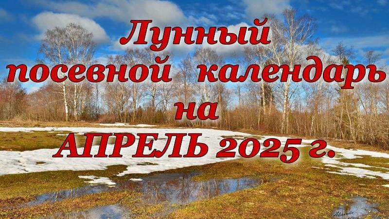 Лунный календарь для работы с растениями.