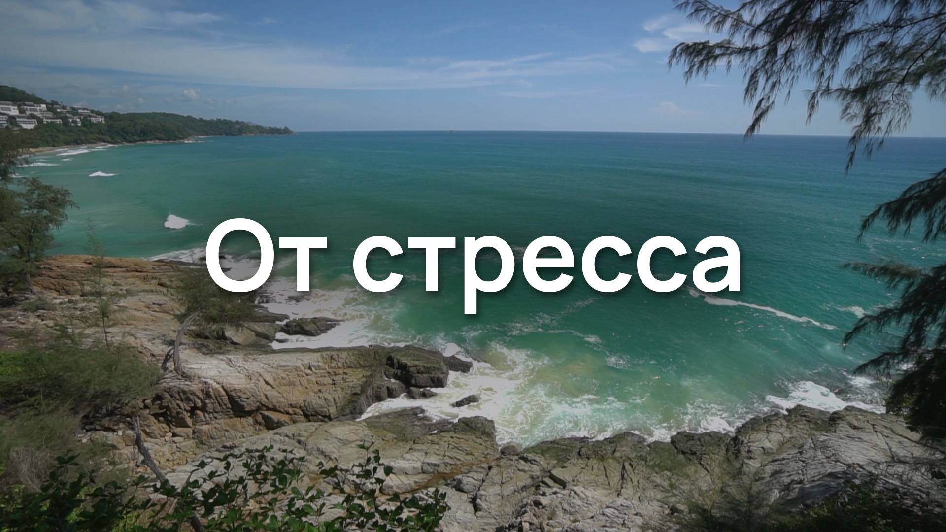 От стресса