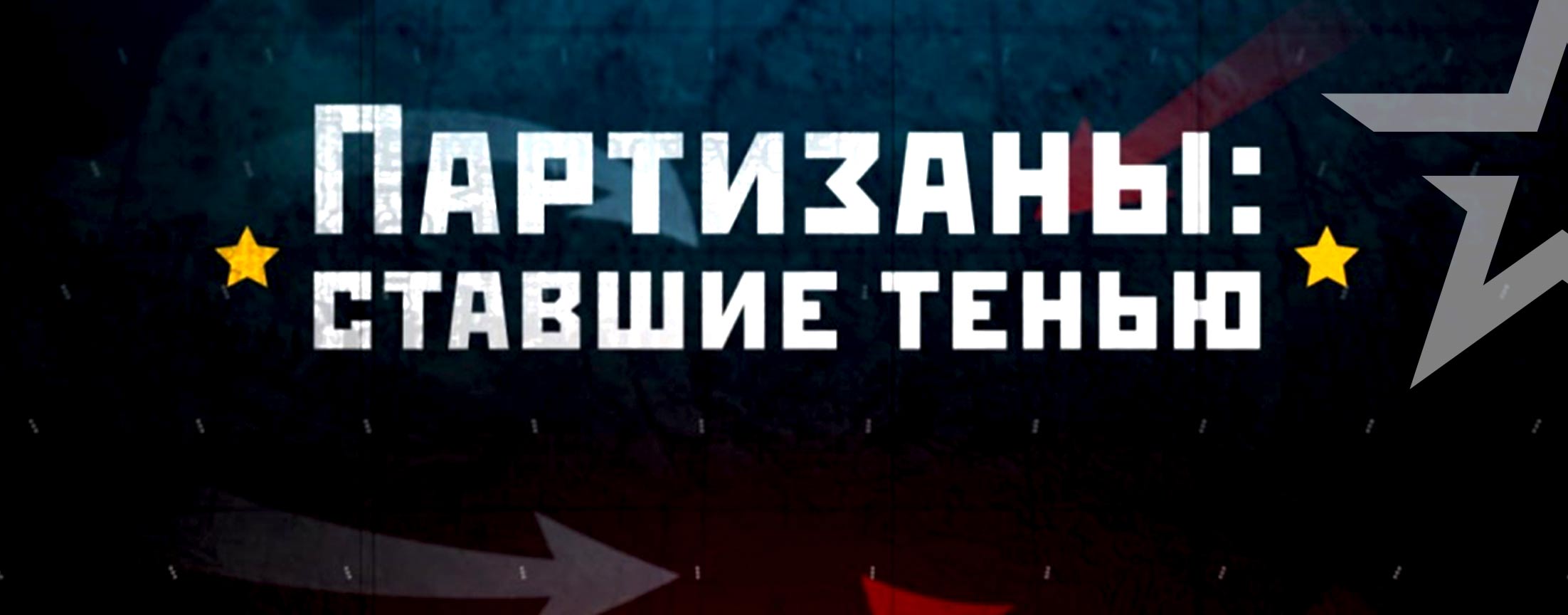 Партизаны: ставшие тенью