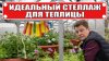 сад огород цветник_Разборный стеллаж для рассады в теплицу -