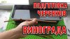Роман Буров TV_БЕЗ ЭТОГО ЭТАПА ЧЕРЕНКИ ВИНОГРАДА НЕ УКОРЕНЯЮ