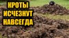 САД ОГОРОД ПРО_Как избавиться от КРОТА навсегда, быстрый и п