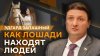 Эдгард Запашный. Как лошади ищут людей и что делать с животн