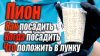 сад огород цветник_Секреты посадки пионов которые никто вам