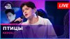 Авторадио_AKMAL' - Птицы (LIVE @ Авторадио)