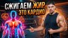 Томаш Фитнес | Tomash Fit_Сжигаем жир в зале: интенсивная ка