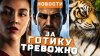 GSTV_Gothic, Planet Zoo 2, Corsair Cove, 007: First Light |