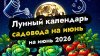 Амурский огород_Лунный посевной календарь садовода на июнь 2