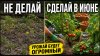 МЕТАОРГАНИКА_Делаем это и получаем ОГРОМНЫЙ урожай