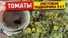 60 Соток в Сибири_Обязательная подкормка томатов по листу 3