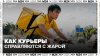 Столичные курьеры рассказали, как справляются с аномальной ж