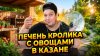 Debauchery Food_Печень кролика с овощами в казане.