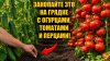 САД ОГОРОД ПРО_Закопайте это на грядке с Огурцами, Томатами
