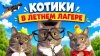 kotiynet_КОТИКИ В ЛЕТНЕМ ЛАГЕРЕ
