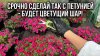 60 Соток в Сибири_Эта хитрость со стрижкой превращает петуни