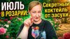 Ботаника Кристины Черненок_Розарий горит на солнце? Уход за