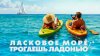 ЖАРА. ИЮЛЬ_промобаннер 3