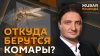 Эдгард Запашный и Нина Ватт.