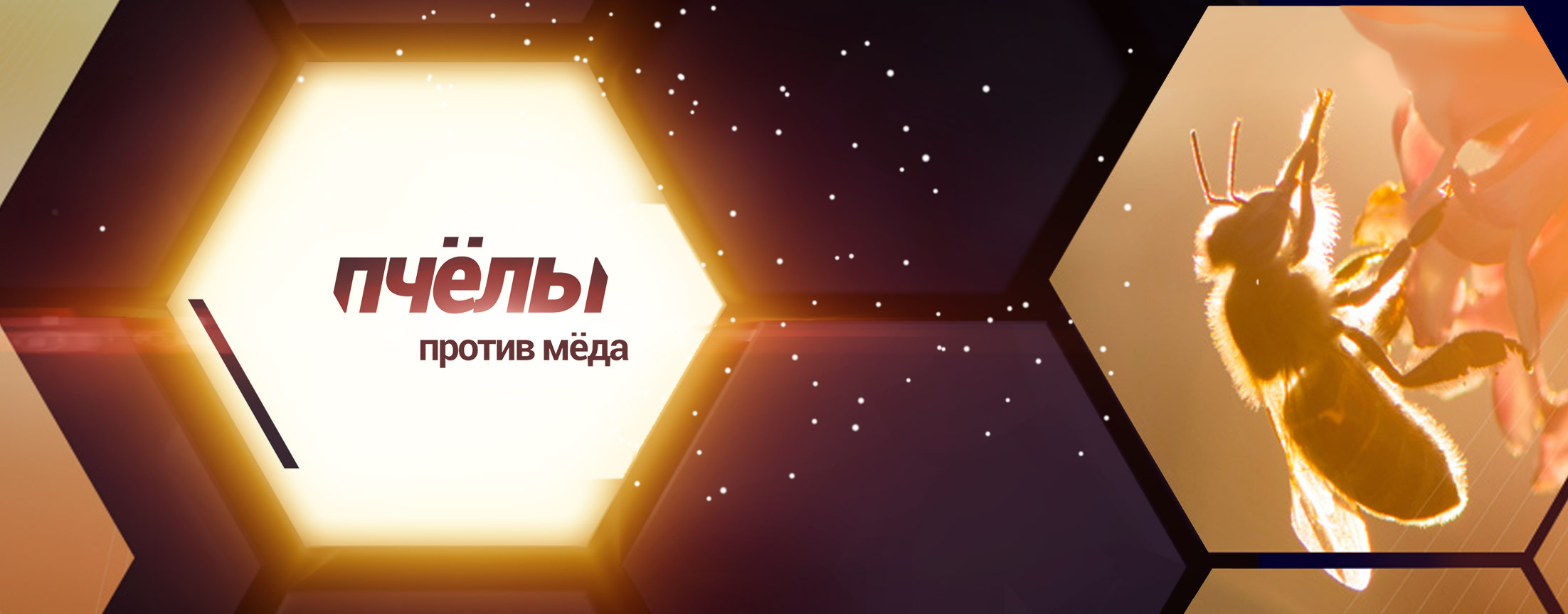 Пчелы против меда